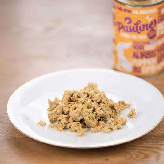 Vegan4Dogs_Pauline_veganes-Alleinfutter-Ambiente7_600x600