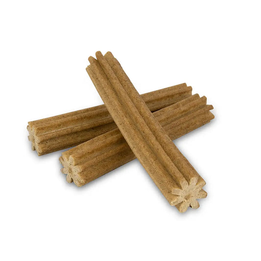 VEGAN4DOGS-Olaf-vegane-Hundezahnpflege-Detail-1-1000×1000-1