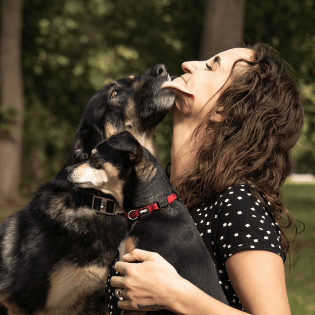 Was muss ich beachten, wenn ich meinen Hund vegan füttern will?