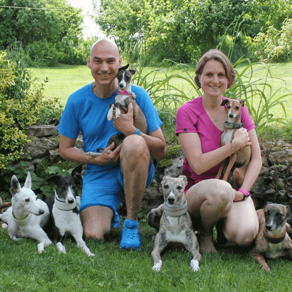 Welche Erfahrungen machen Tierärzte mit veganer Hundeernährung?