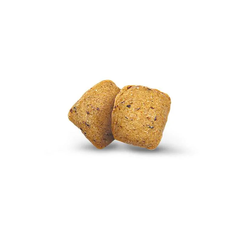 green-petfood-kroketten_veggiedog-grainfree