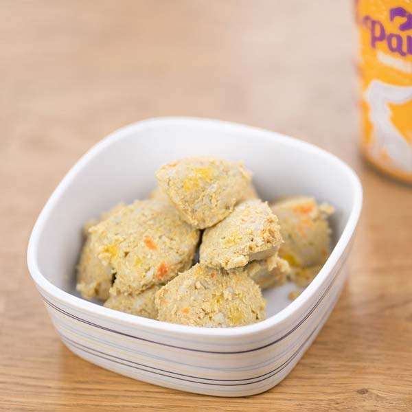 Vegan4Dogs_Pauline_veganes-Alleinfutter-Ambiente5_600x600