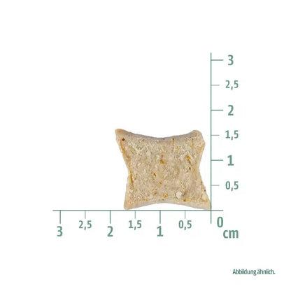 CHISTOPHERUS-Soft-Snack-Tapioka-mit-Kuerbis-125g-Detail-2-1000×1000-1