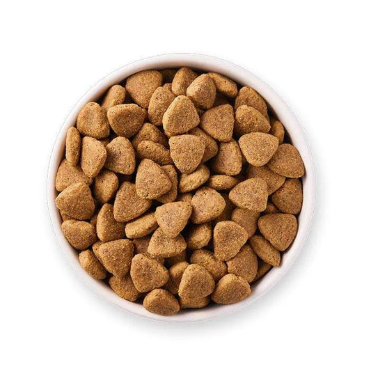 YARRAH-Vega-weizenfrei-Detailansicht-700×700-1