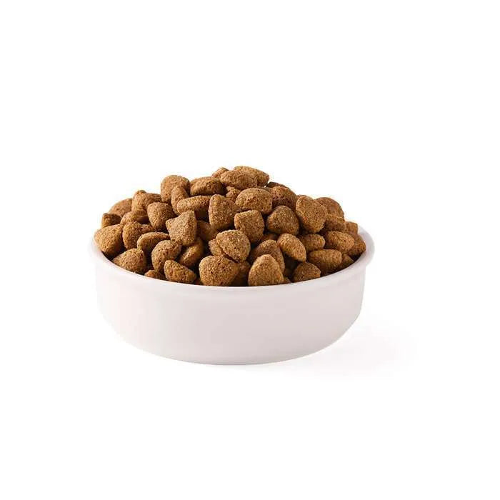 YARRAH-Vega-Bio-vegetarisches-Trockenfutter_Detailansicht-im-Napf-2-700×700-1