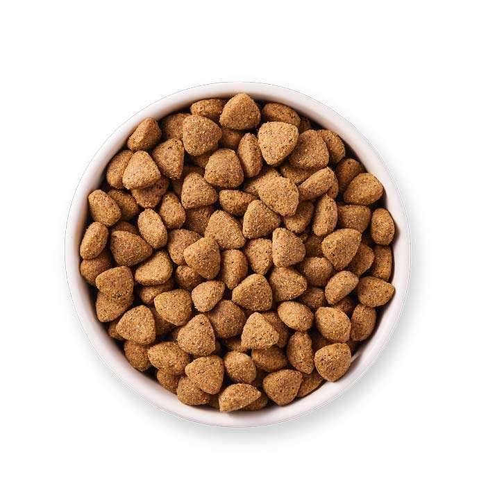 YARRAH-Vega-Bio-vegetarisches-Trockenfutter_Detailansicht-im-Napf-700×700-1
