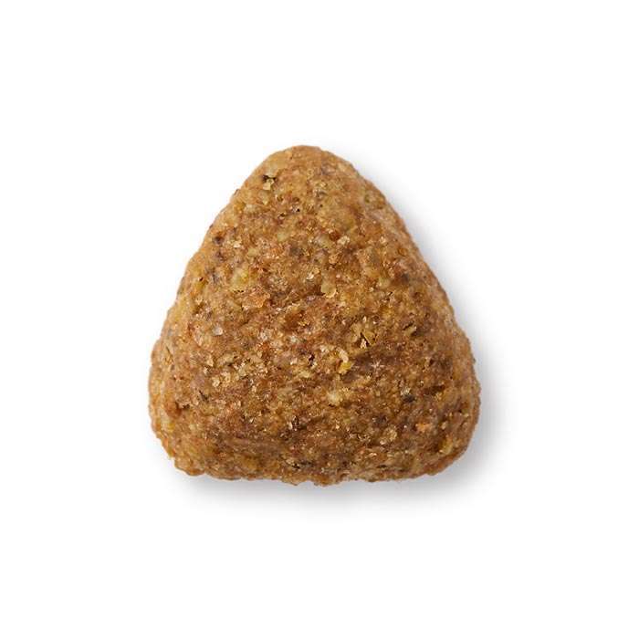 YARRAH-Vega-Bio-vegetarisches-Trockenfutter_Detailansicht-Kibble-700×700-1