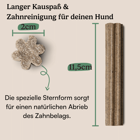 Hunderunde Dental Sticks Traumfänger 2