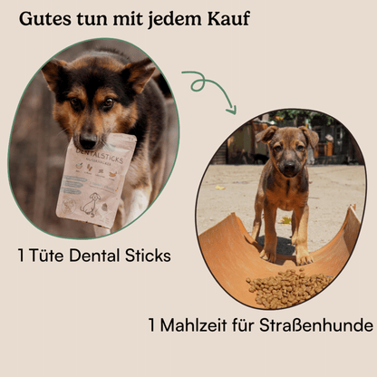 Hunderunde Dental Sticks Traumfänger 3