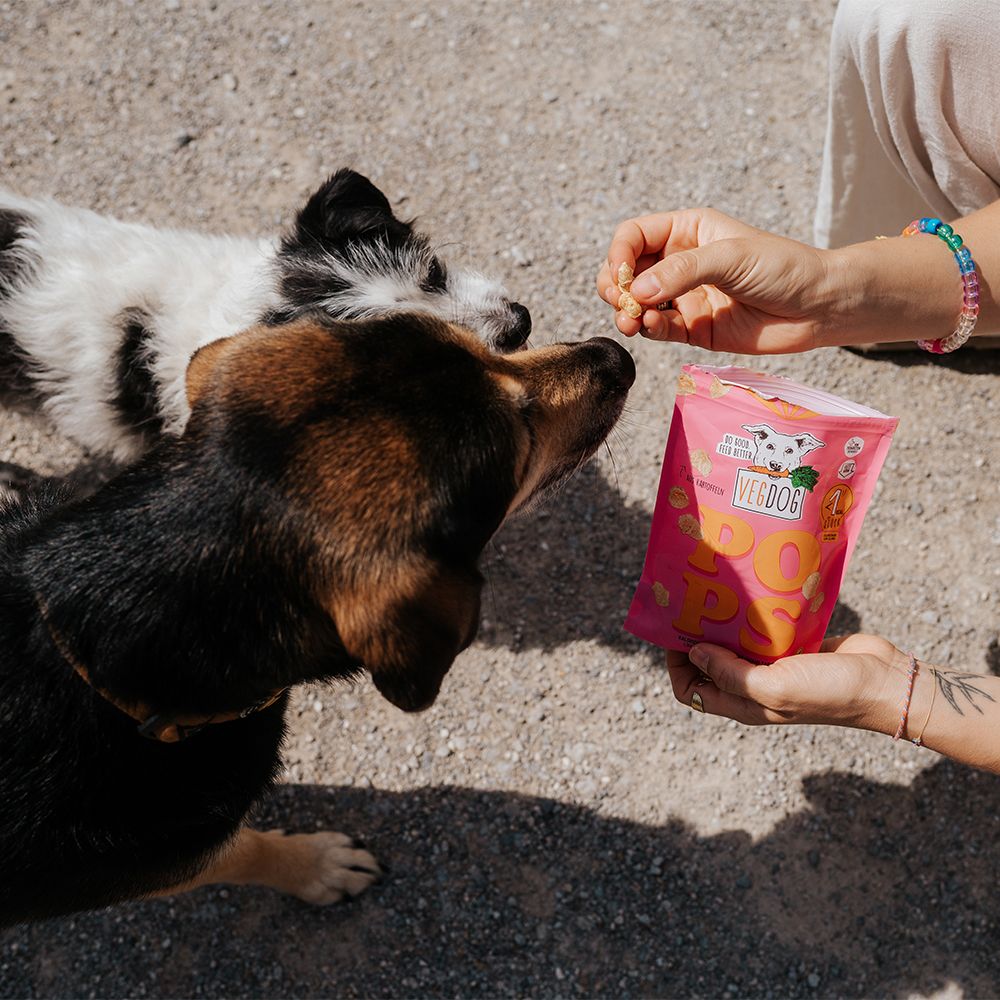 Vegdog Pops Hund