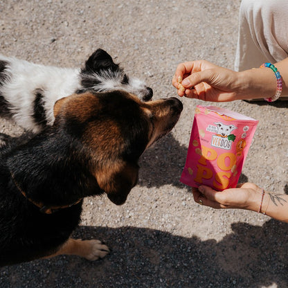 Vegdog Pops Hund