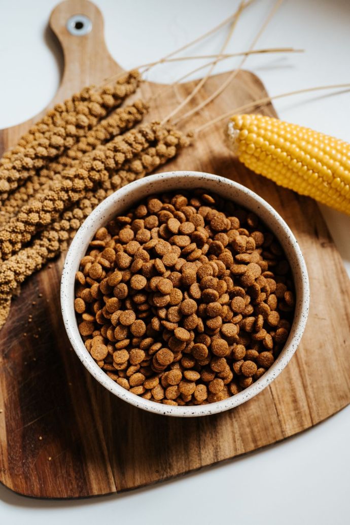VEGDOG Farmer's Crunch veganes Trockenfutter