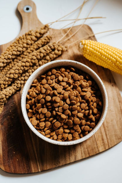 VEGDOG Farmer's Crunch veganes Trockenfutter