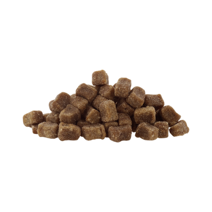 Lose Yummeez Vegan Cubes mit Kurkuma und Erbsenprotein für Hunde